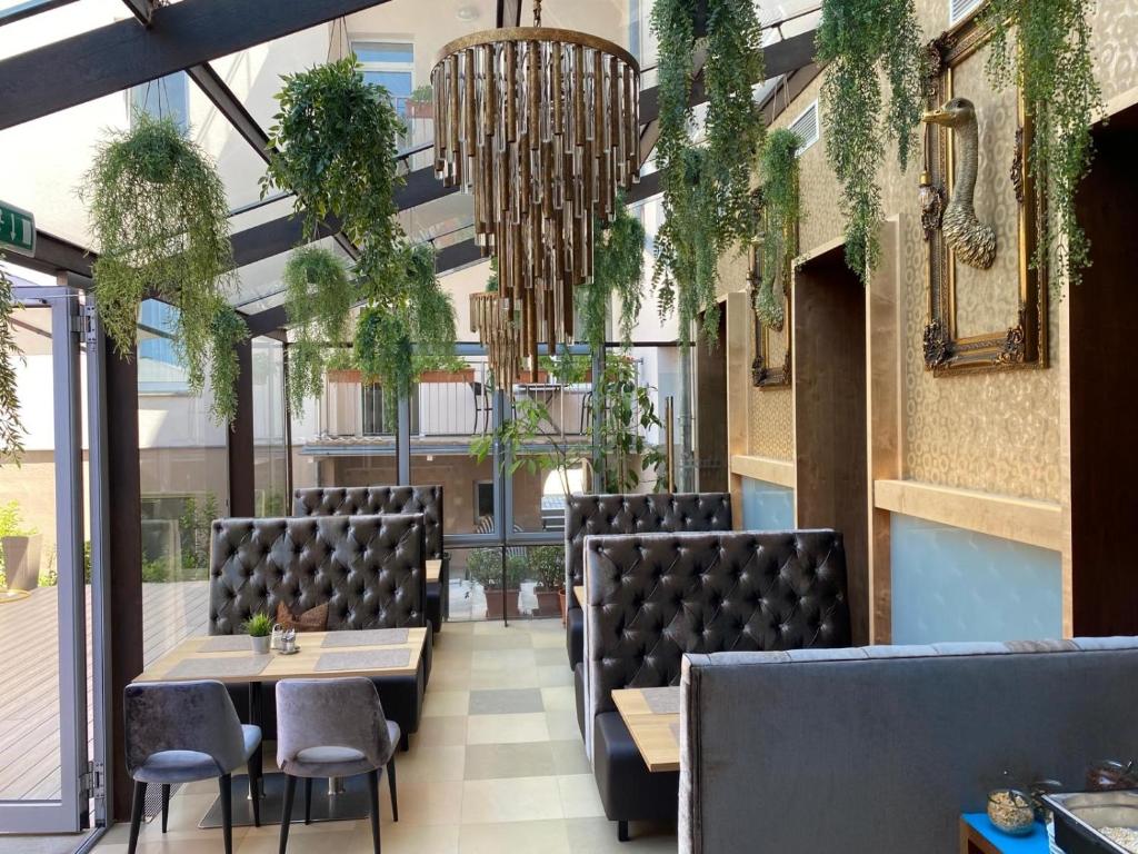 Mūsdienīgs restorāna interjers ar elegantiem melniem dīvāniem, dekoratīvām zālēm un stilīgu lampu, radot patīkamu atmosfēru. Iekštelpu dizains apvieno komfortu un estētiku.