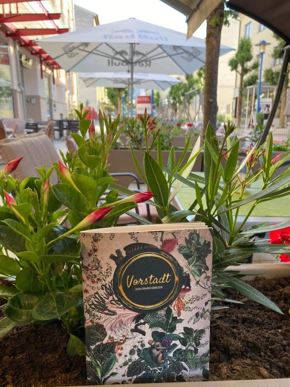 Zieds un grāmata "Vorstadt" dārzā, apzaļumotā kafejnīcā. Viegla, patīkama atmosfēra ar ziediem un saulainu vidi.