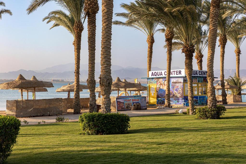 Palm Royale Resort - Soma Bay pludmales skats ar palmu kokiem