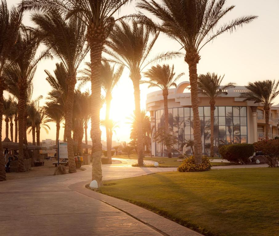 Palm Royale Resort - Soma Bay piejūras palmu aleja saulrietā