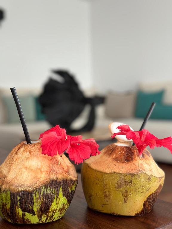 Karafuu Beach Resort & Spa kokteiļi kokosriekstos ar hibiskus ziediem