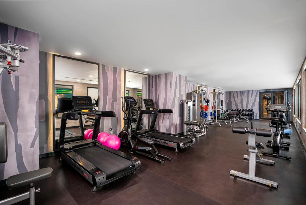 Vox Maris Resort moderns sporta zāle ar trenažieriem un svaru iekārtām.