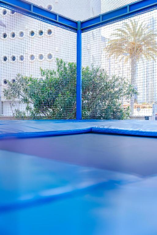 Trampolīna ar zilu rāmi, aizsargtīklu un melnu lēkšanas virsmu, fonā redzami zaļi augi un palmu koks.