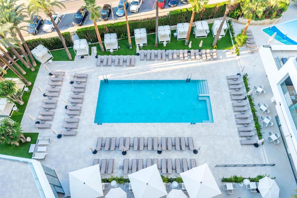 Peldbaseins ar sauļošanās krēsliem un palmām viesnīcas teritorijā, radot relaksējošu atmosfēru. Apkārt peldbaseinam ir plaša atpūtas zona ar šezlongiem un baldahīniem.