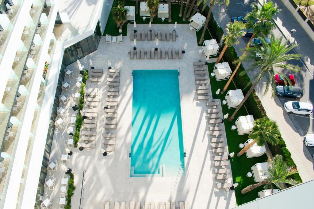 Baseins ar saules gultām un palmām, kas veido relaksējošu atmosfēru viesnīcas pagalmā. Modernā arhitektūra pievieno eleganci un komfortu.