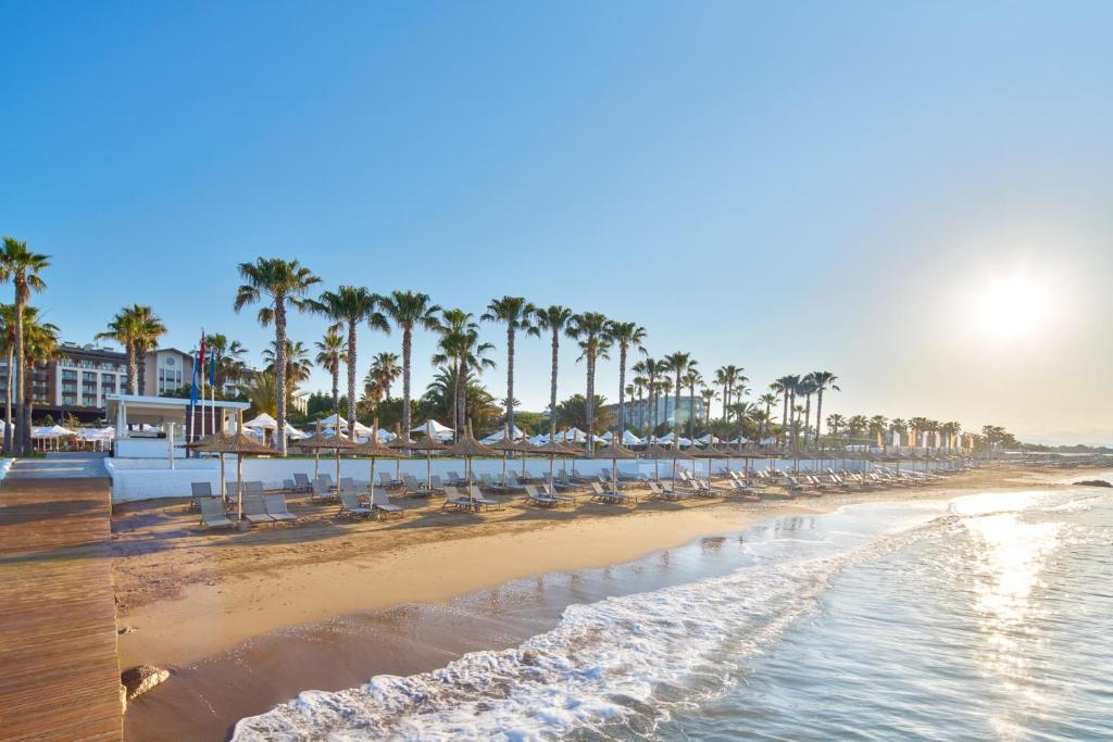 Pludmale ar palmām pie Voyage Sorgun un saules gaismu