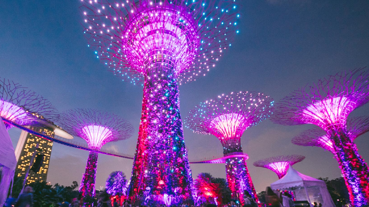 Supertree Grove Singapūrā – izgaismoti koki piekrastes dārzos Vanilla Travel ceļojumā