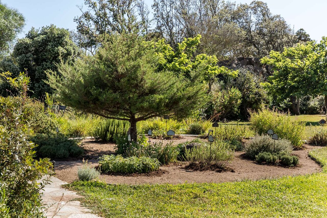 Viesnīcas Cala Cuncheddi dārzs ar zaļiem augiem