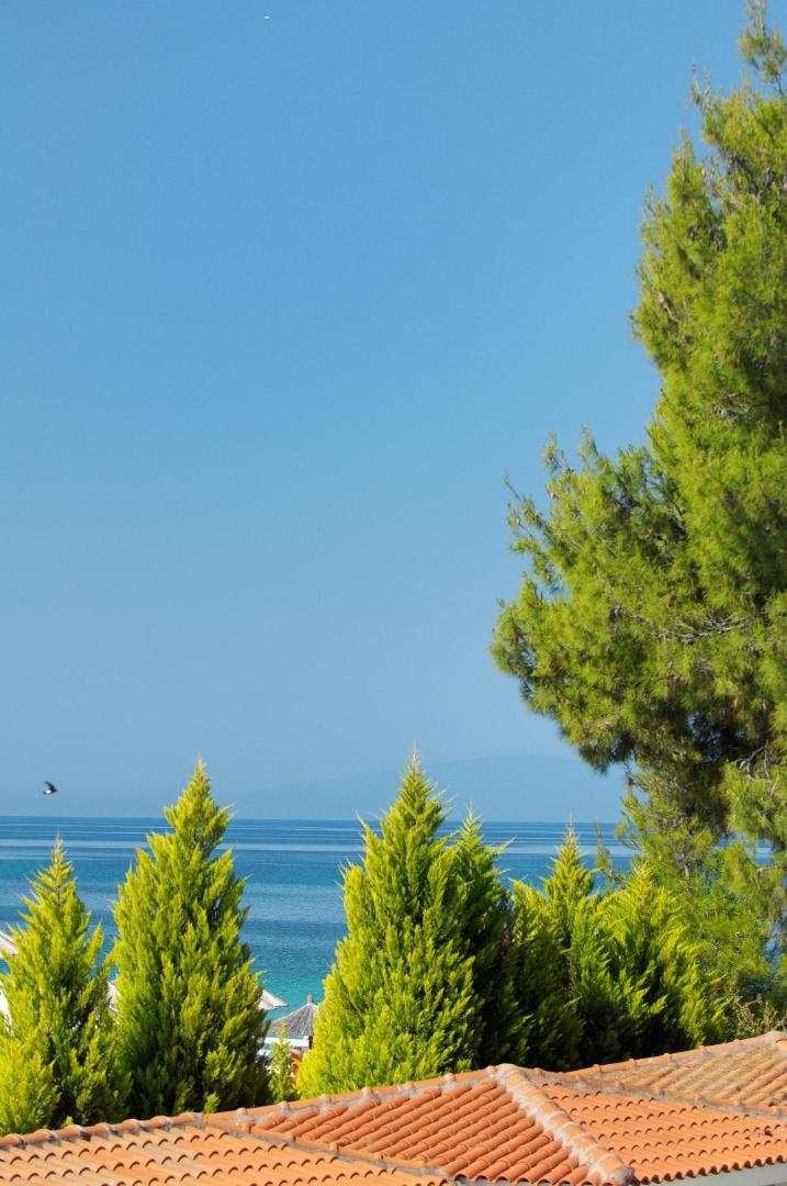 Skats uz Egejas jūras zilgmi caur zaļiem kokiem no Portes Beach Hotel terases Halkidiki piekrastē