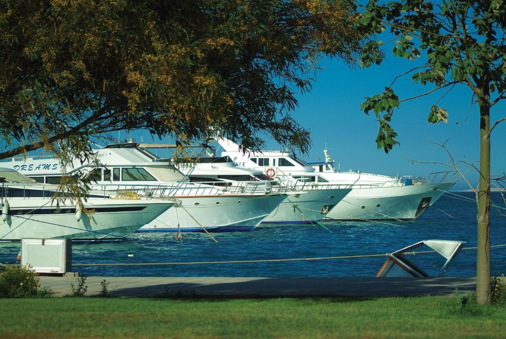 Jahtas pie Continental Hotel Hurghada piekrastē