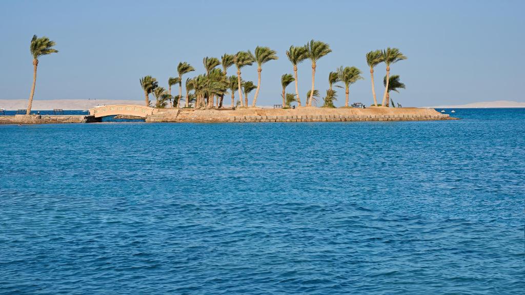 Tropu sala pie Continental Hotel Hurghada, zilā jūrā ar palmu kokiem.