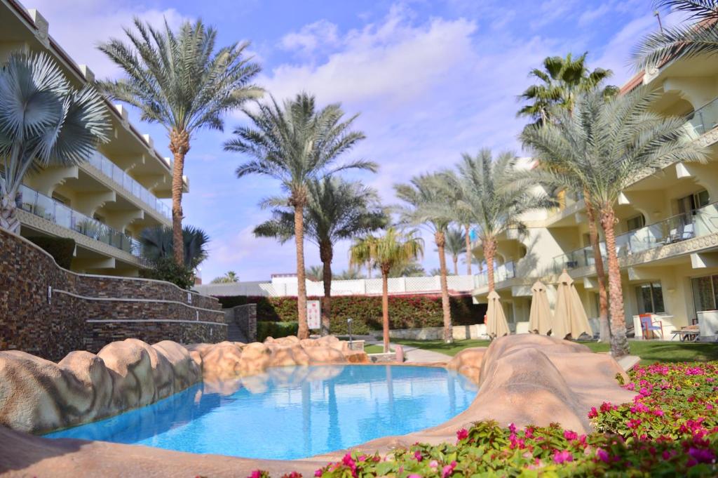 Xperience Sea Breeze Resort baseins ar palmu kokiem un ziediem