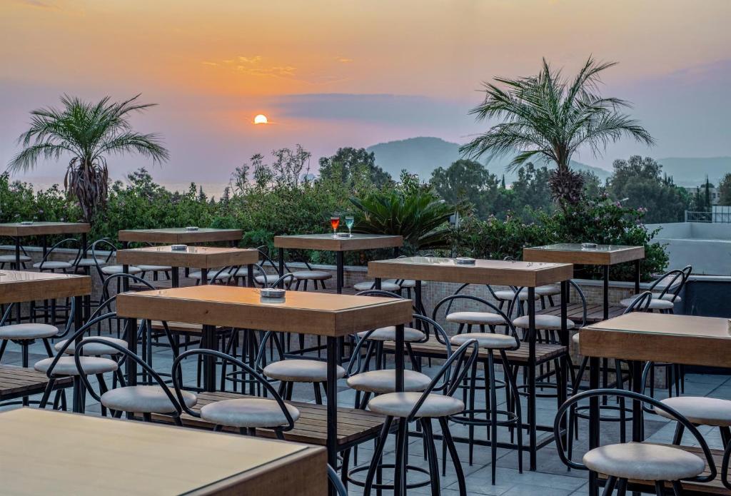 Michell Hotel & Spa terase ar saulrietu un palmām