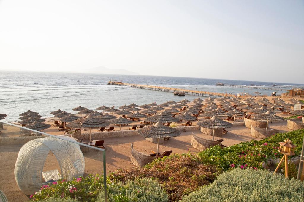 Skats uz pludmali pie Cleopatra Luxury Resort ar saulessargiem.
