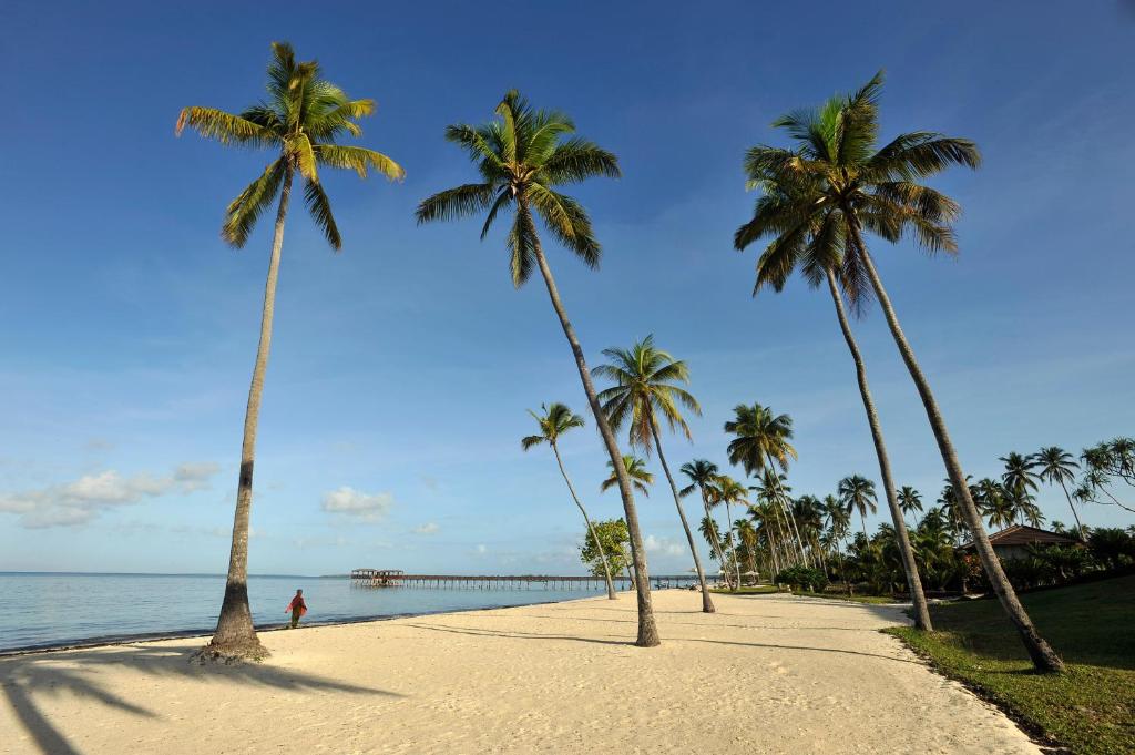 Palmas pie pludmales The Residence Zanzibar.