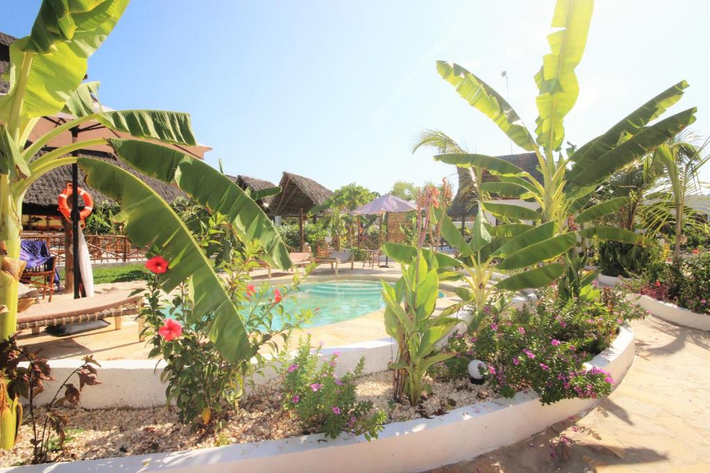 Tropiskais baseina skats Paradise Beach Resort.