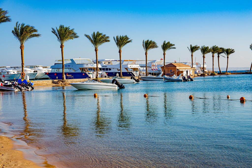 Skaists skats uz laivām un palmu kokiem pie Continental Hotel Hurghada.