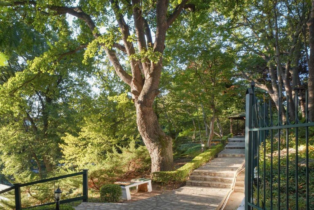 Zaļš dārzs ar plašiem kokiem un akmens celiņu, kas ved uz vārtu. Gaismas stari caur kokiem rada mierīgu atmosfēru.