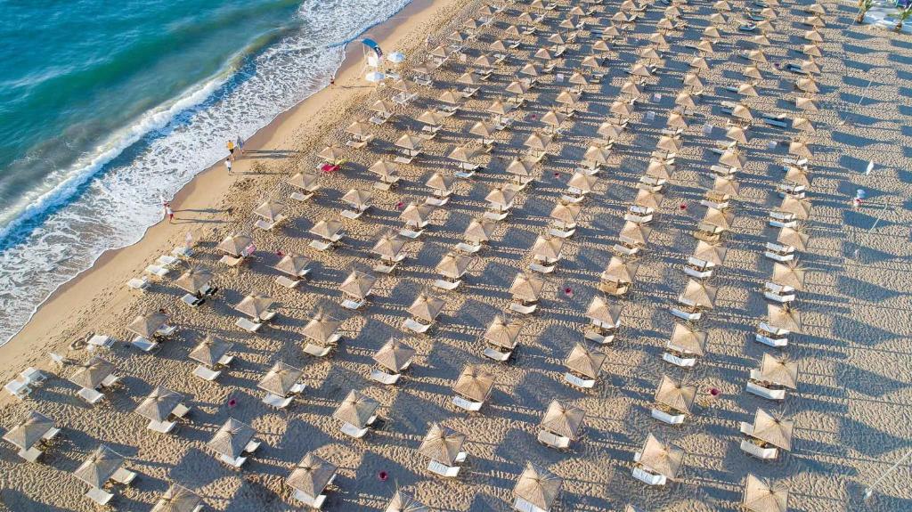 Pludmales skats ar ratiņiem un saulessargiem, kas sakārtoti rindās, blakus viļņiem un smiltīm. Ideāla vieta atpūtai un sauļošanai.