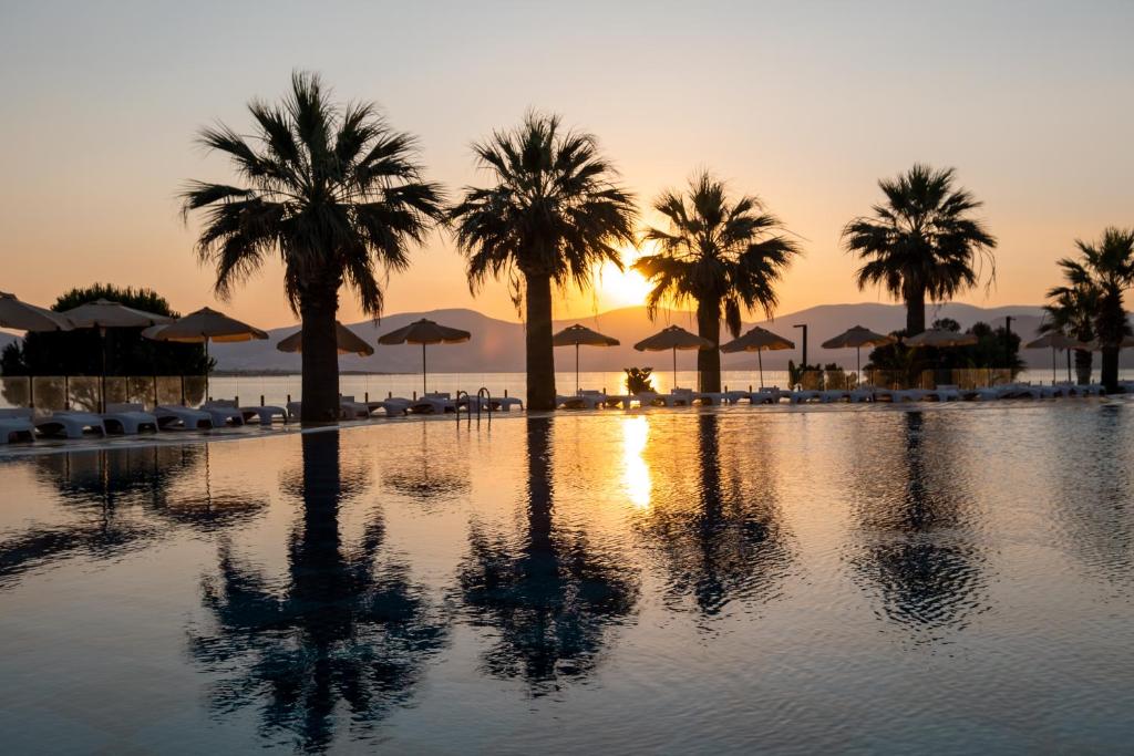 Saulriets pie baseina viesnīcā Duja Didim ar palmām un atpūtas krēslām
