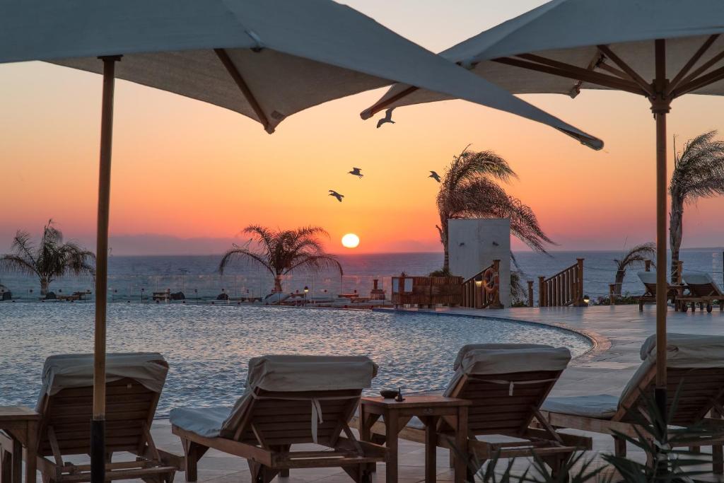Saulriets pie Cleopatra Luxury Resort baseina ar ziediem un palmu silueti
