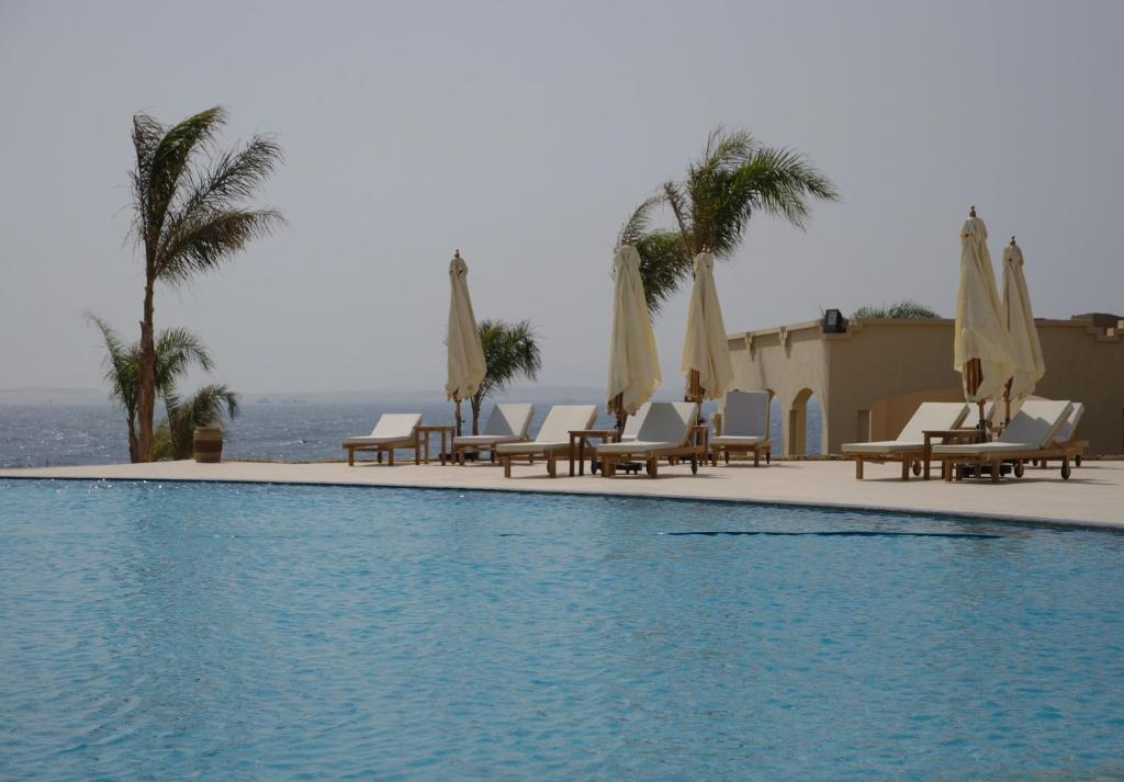Peldbaseins pie Cleopatra Luxury Resort ar palmām un atpūtas krēsliem piekrastē.