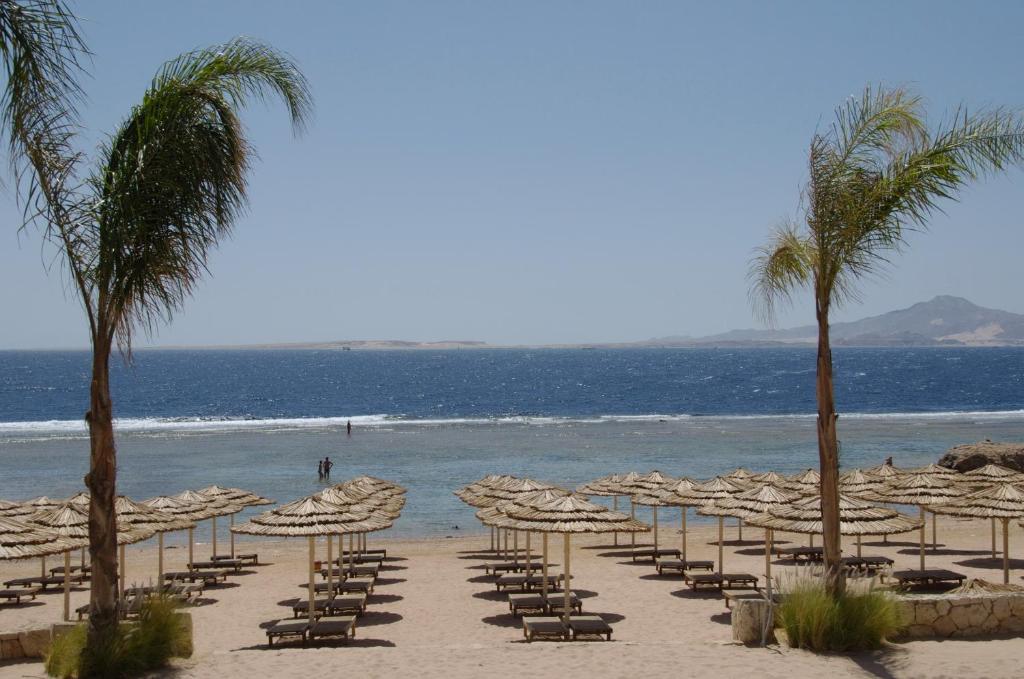 Cleopatra Luxury Resort pludmale ar saules gultām un palmām piekrastē