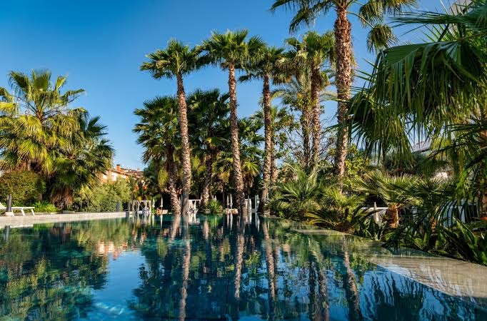 AQUA Hotel Silhouette & Spa baseins ar pārplūdes malu, kurā atspoguļojas garas palmas un tropiskie augi saulainā dienā Spānijā.