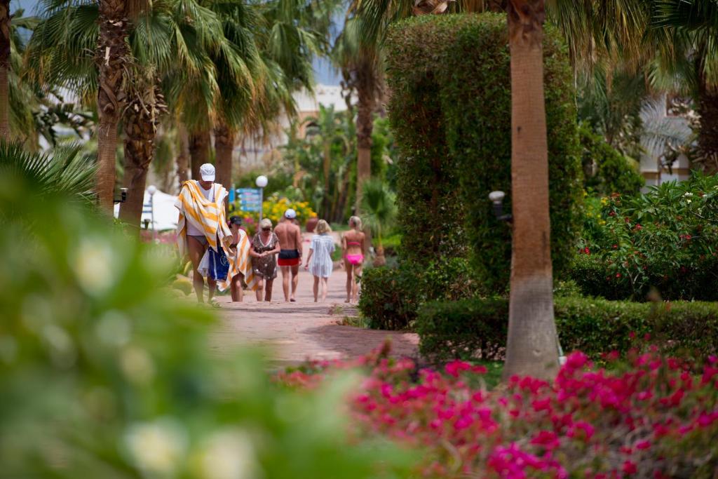 Viesi pastaigā pa zaļo dārzu pie Amphoras Blu