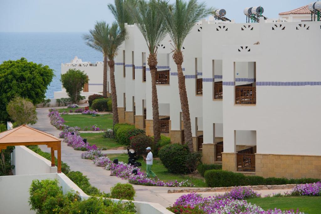 Amphoras Blu piekrastes ainava ar ziediem un palmām