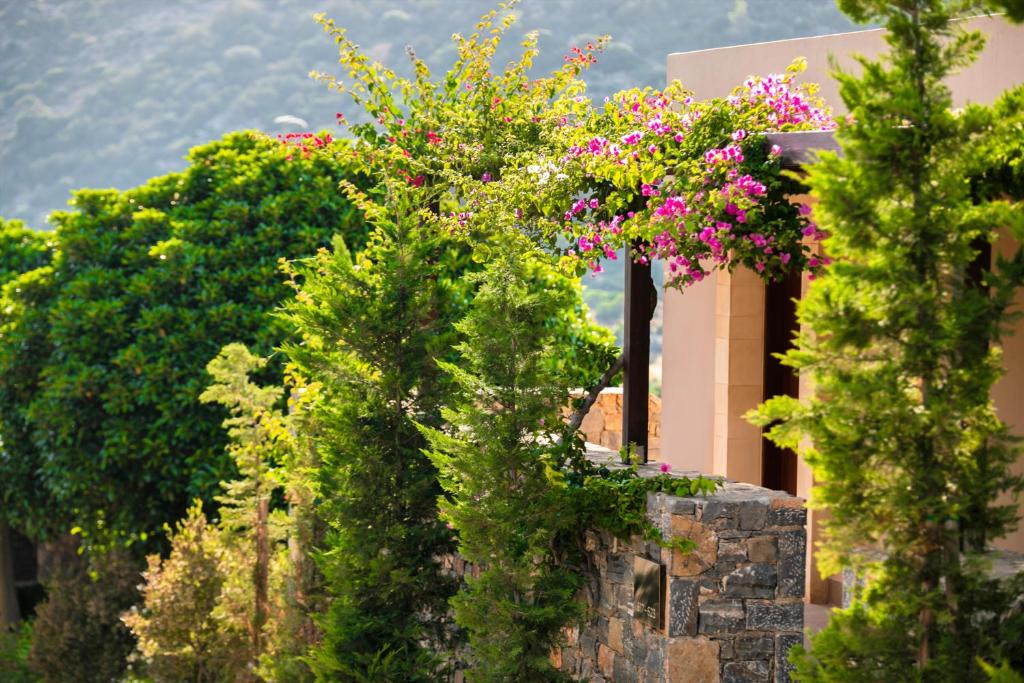 Daios Cove Luxury Resort ainaviskā dārza skats ar ziedošām krūmām.