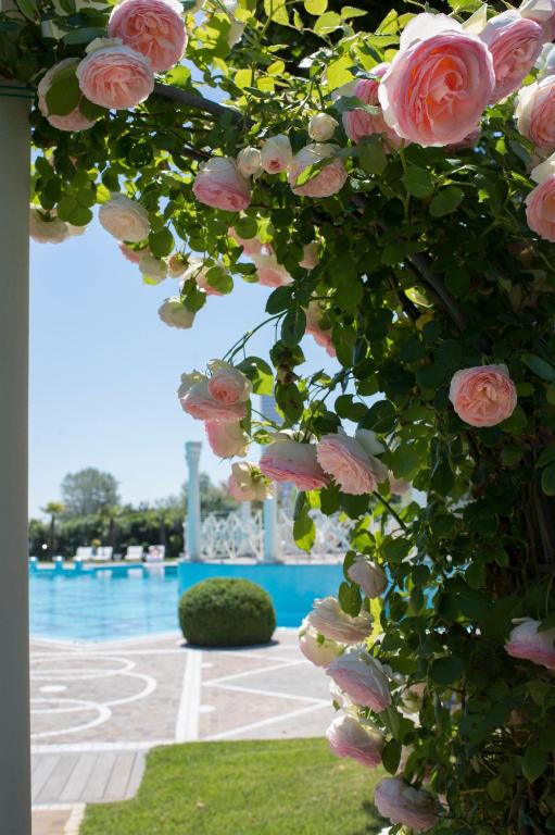 Rozes ziedi, kas zied pie baseina, radot skaistu un mierīgu atmosfēru. Aiz ziediem redzams skaidrs debesis un baseins, kas papildina ainavu.
