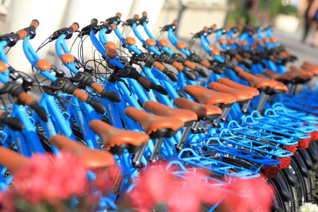 Rindā novietoti spilgti zili velosipēdi ar brūniem sēdekļiem, kas izceļas saulainā dienā. Fons dekorēts ar ziediem, piešķirot attēlam dzīvīgumu.