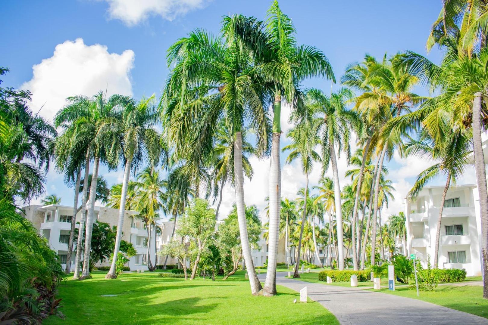Grand Bavaro Princess viesnīcas dārzs ar augstām palmām, koptu zālienu un gājēju celiņiem starp baltajiem numuru korpusiem