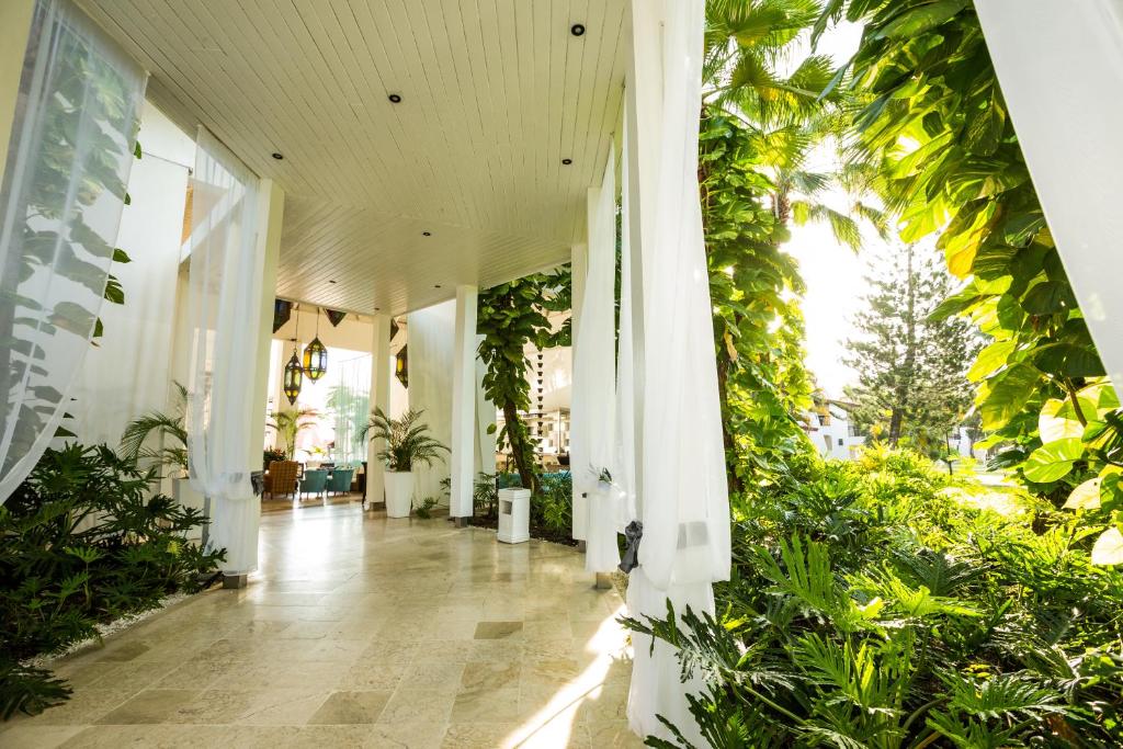 Gaišs un zaļš interjers ar dabīgām augu dekorācijām un gaismas staru, kas ieplūst caur baltajiem aizkariem. Elegants atpūtas zonas izskats ar mūsdienīgu dizainu.