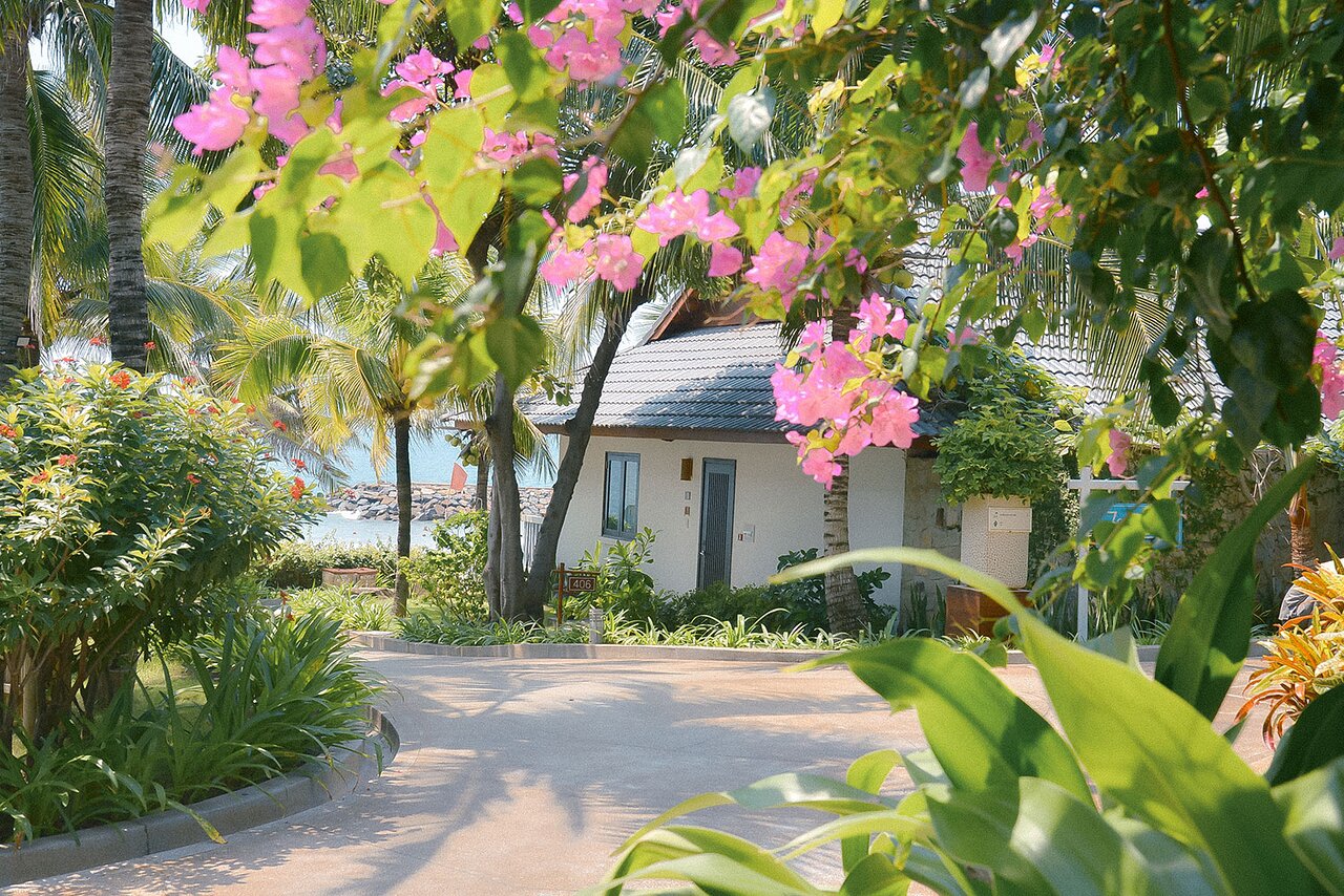 The Cliff Resort & Residences garden view with pink flowers