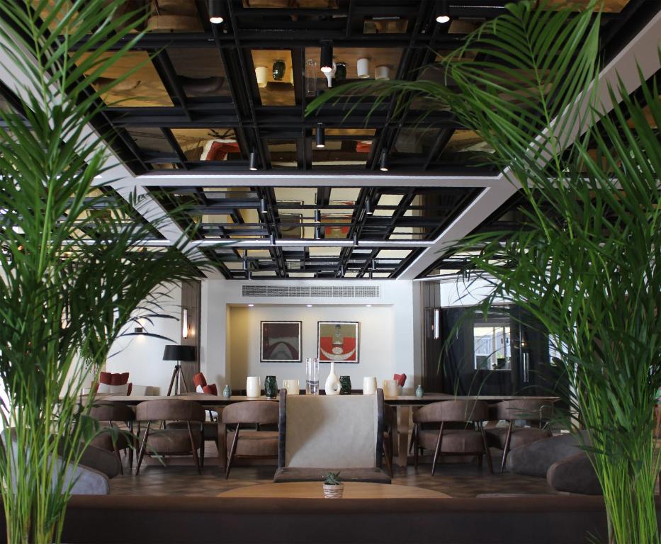 Moderns viesnīcas Paloma Perissia interjers ar elegantiem krēsliem un augiem.