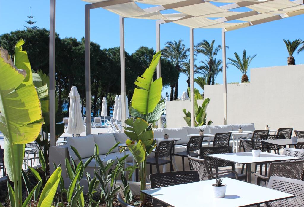 Terase pie viesnīcas Paloma Perissia ar zaļām lapām un baltiem krēsliem
