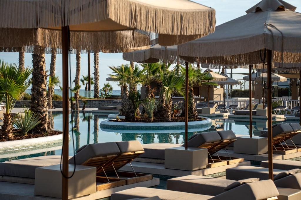Luksusa baseina zona ar palmām un saulessargiem, kas piedāvā relaksējošu atmosfēru un komfortablu atpūtu. Ideāla vieta brīvdienām vai atpūtai.