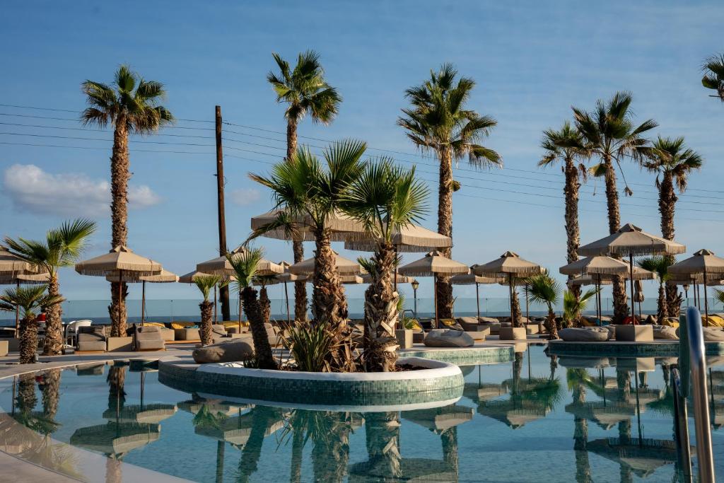 Tropu stila baseins ar palmām un sauļošanās vietām, izveidojot relaksējošu atmosfēru pie jūras. Skats uz pludmali un skaidru debesu fonu.
