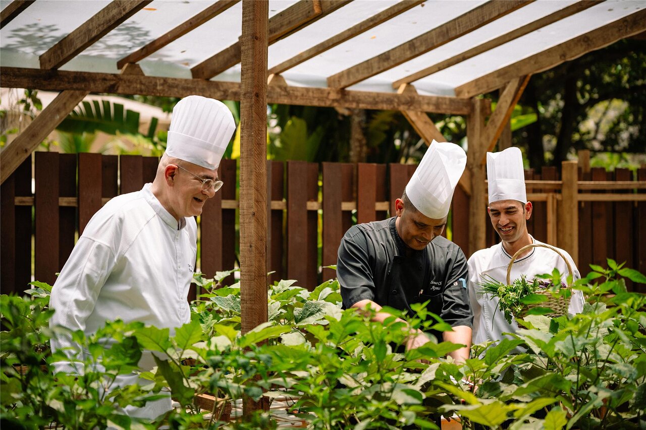 Kempinski Seychelles Resort šefpavāri vāc svaigus garšaugus un dārzeņus viesnīcas dārzā