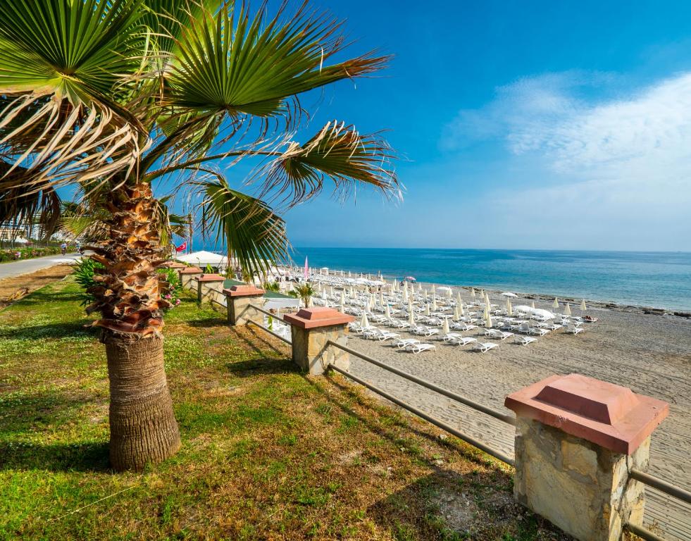 Skats uz pludmali pie CAMPUS HILL HOTEL, palmas koks tuvumā.