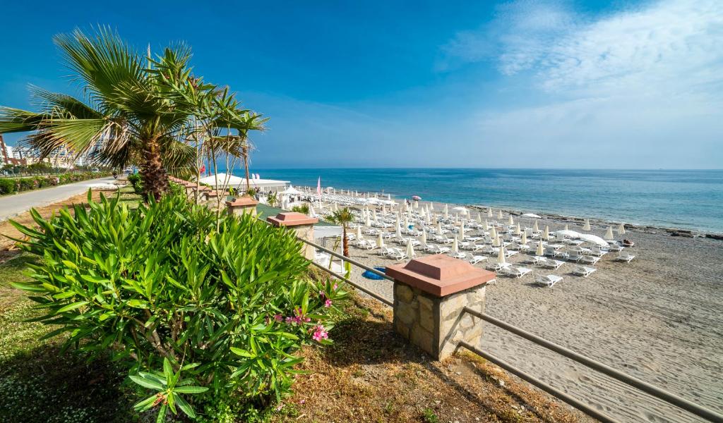 Skats uz pludmali pie CAMPUS HILL HOTEL ar palmām un sauļošanās krēsliem.