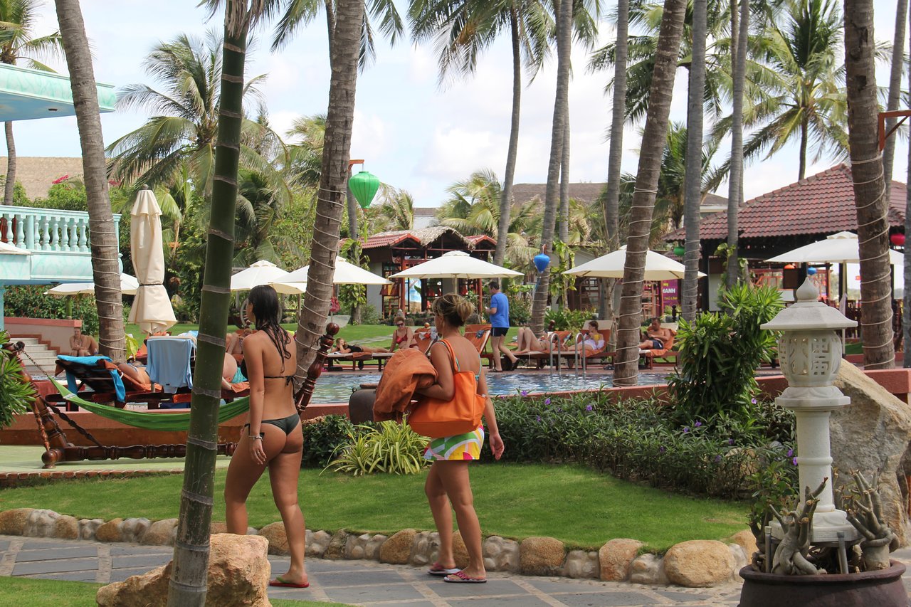 Atpūta Ca Ty Resort pie baseina palmu ieskautā vidē.