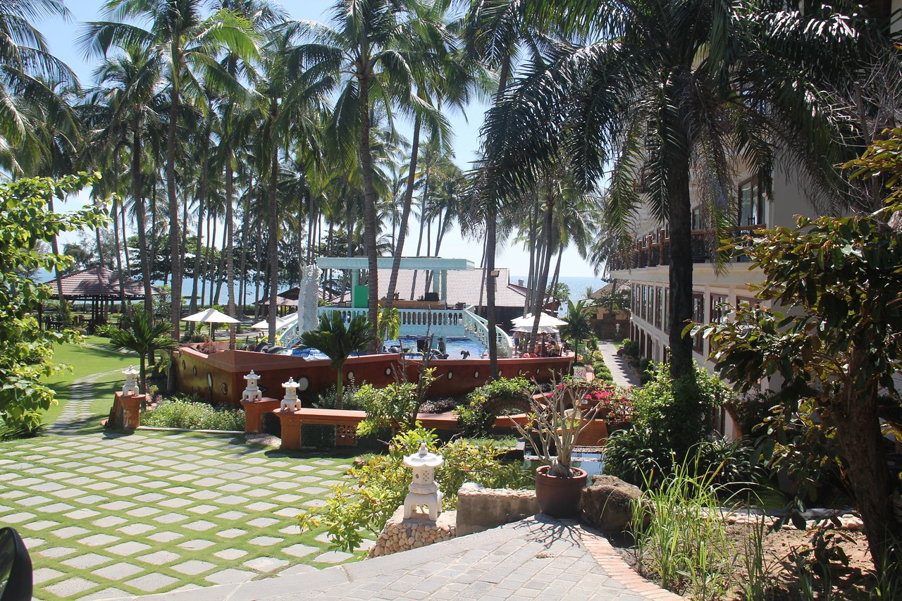 Ca Ty Resort piekrastes baseins ar palmu kokiem.