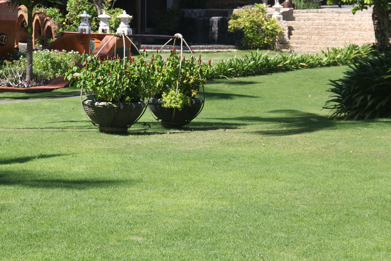 Zaļā zāliena zona ar ziedu groziem pie Ca Ty Resort.