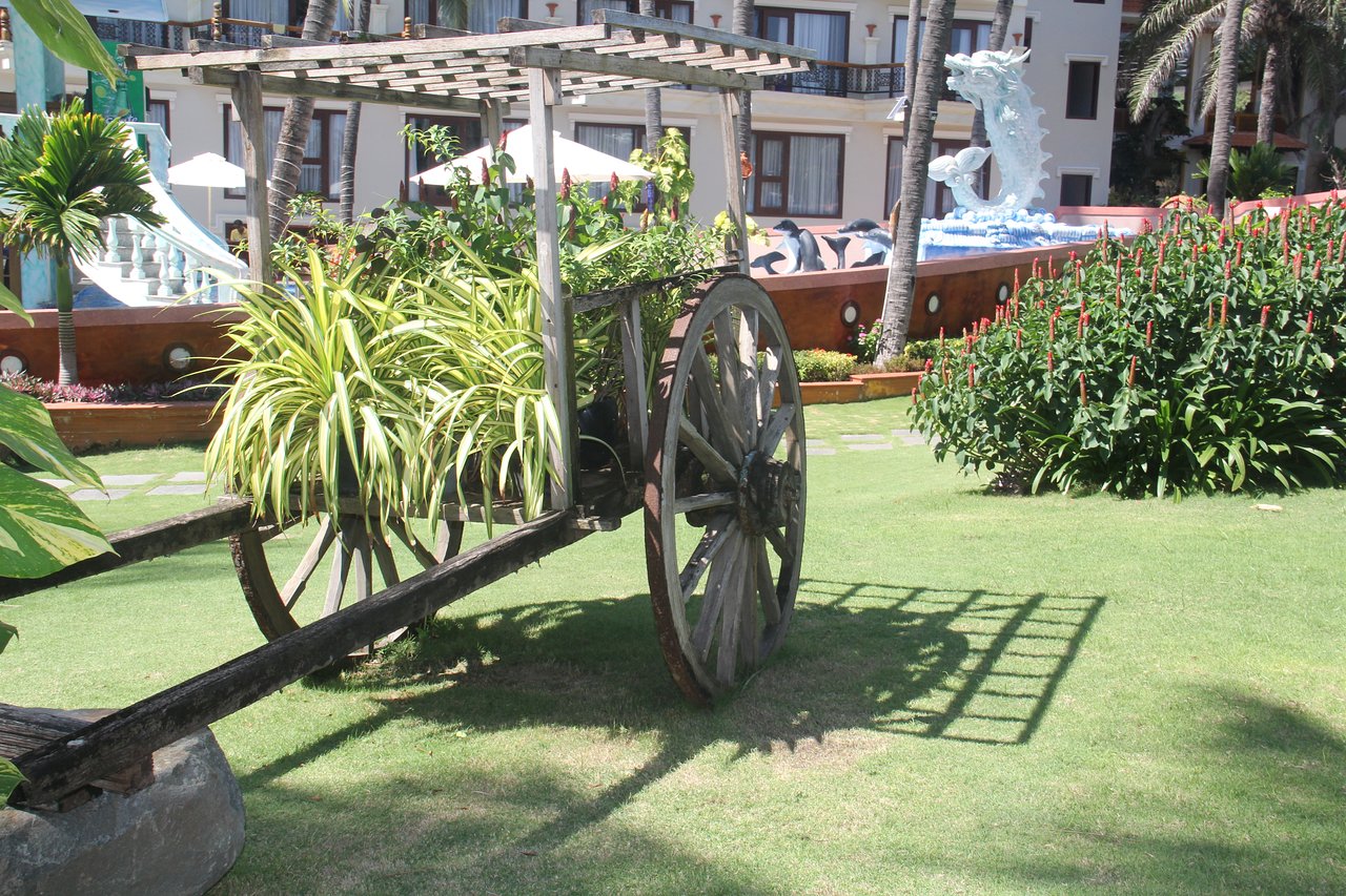 Dārza dekors Ca Ty Resort teritorijā ar koka ratu un zaļumiem.