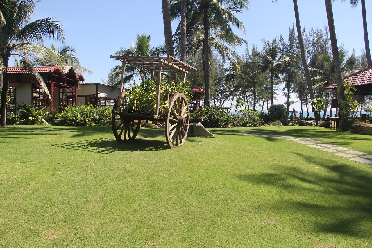 Ca Ty Resort tropiskais dārzs ar ratu un palmu kokiem.