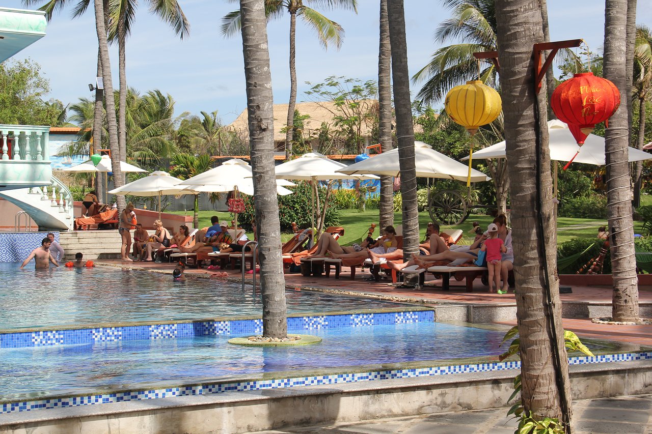 Ca Ty Resort baseins ar palmu kokiem un atpūtniekiem saulē.