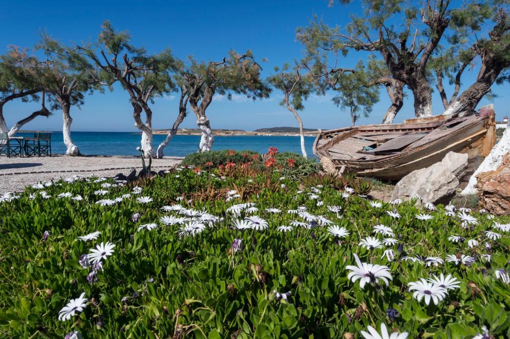 Pludmales ainava ar ziediem, vecu laivu un koku rindām pie jūras. Saulaina diena ar skaidru zilu debesi un mierīgu ūdeni.